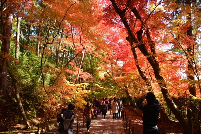 光明寺 / 長岡京・向日
