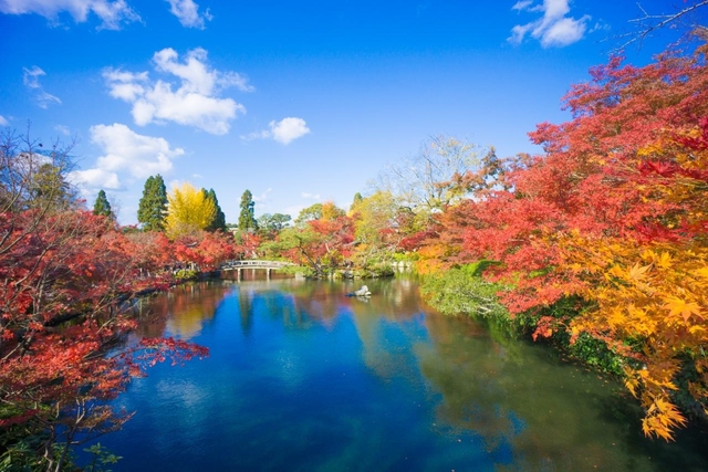永観堂(禅林寺) / 下鴨・宝ヶ池・平安神宮