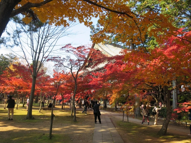 真如堂(真正極楽寺) / 下鴨・宝ヶ池・平安神宮