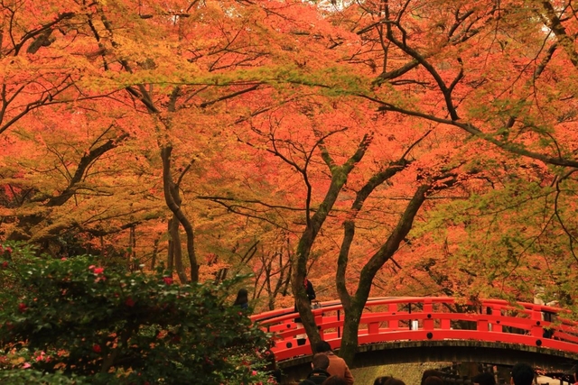 北野天満宮(天神さん) / 今出川・北大路・北野 