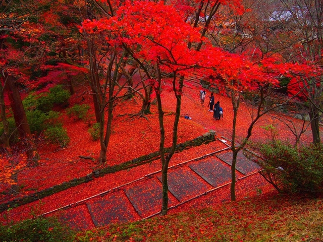 毘沙門堂 / 山科