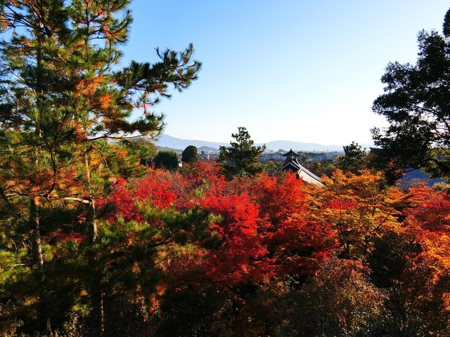 天龍寺 / 嵐山・嵯峨野・太秦・桂