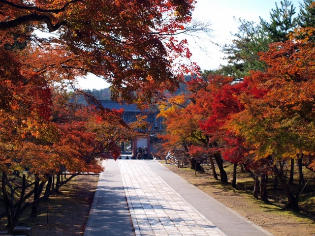  仁和寺 / 嵐山・嵯峨野・太秦・桂