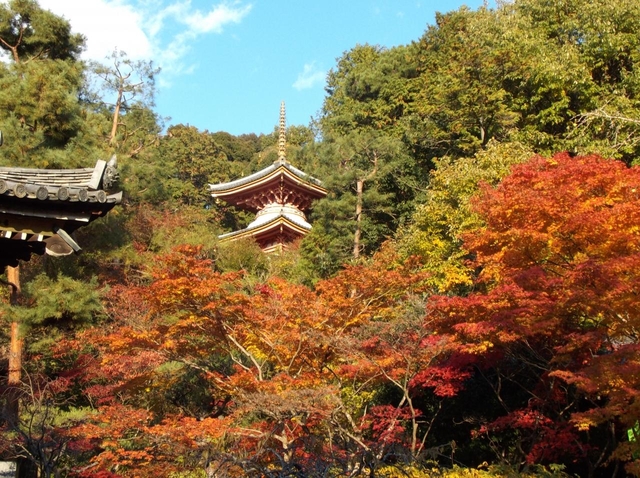 新那智山 観音寺 (今熊野観音寺) / 東山・祇園・北白川