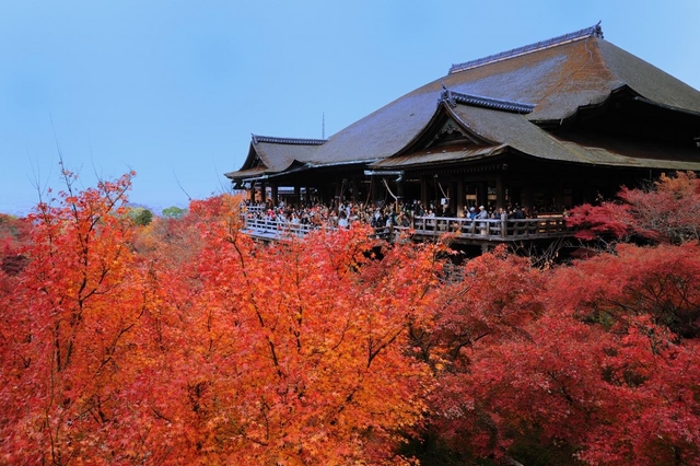 清水寺 / 東山・祇園・北白川