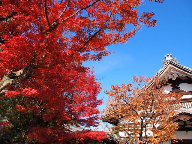 高台寺 / 東山・祇園・北白川 