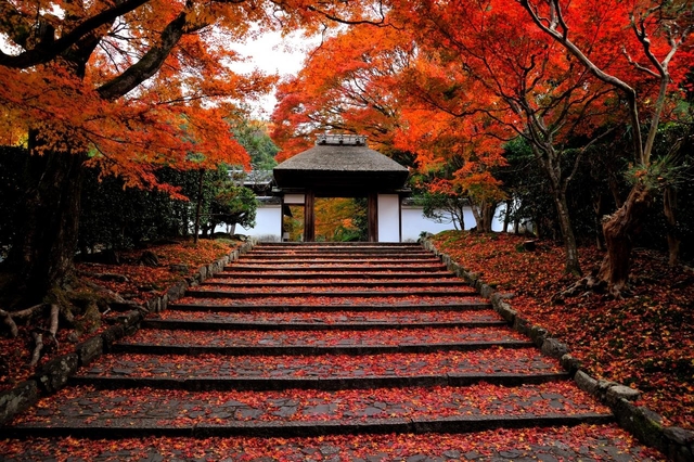 安楽寺 (哲学の道付近) / 東山・祇園・北白川 