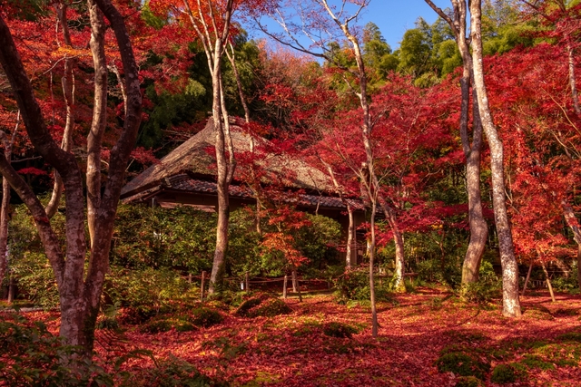 祇王寺 / 嵐山・嵯峨野・太秦・桂