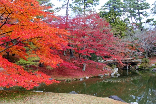 京都御所 / 今出川・北大路・北野