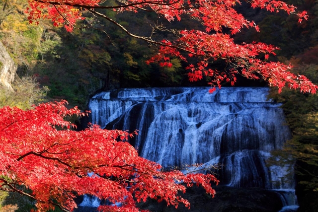 5. 袋田の滝 / 茨城 大子町