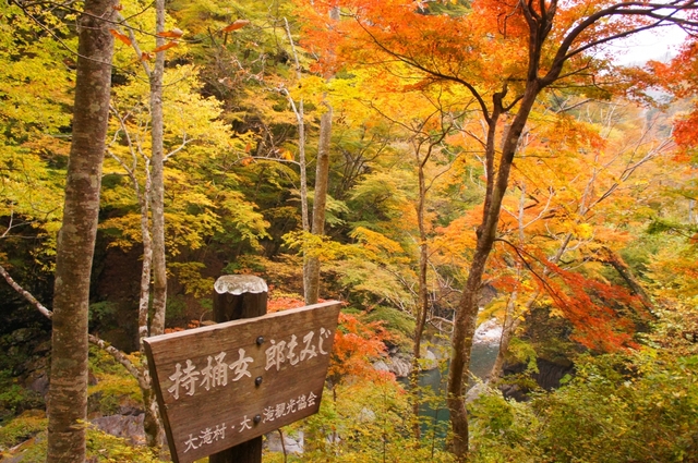 4. 秩父 / 埼玉 秩父市