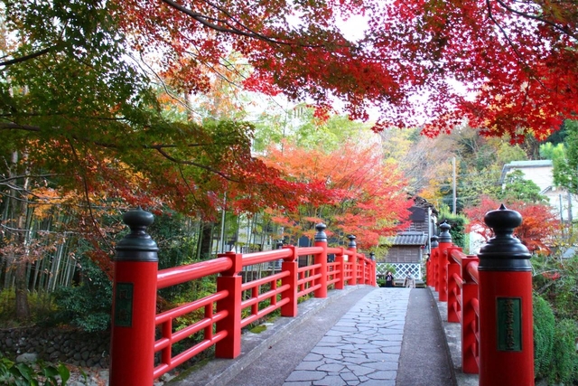 20. 【静岡】修善寺温泉　湯回廊　菊屋 / 紅葉と温泉を満喫