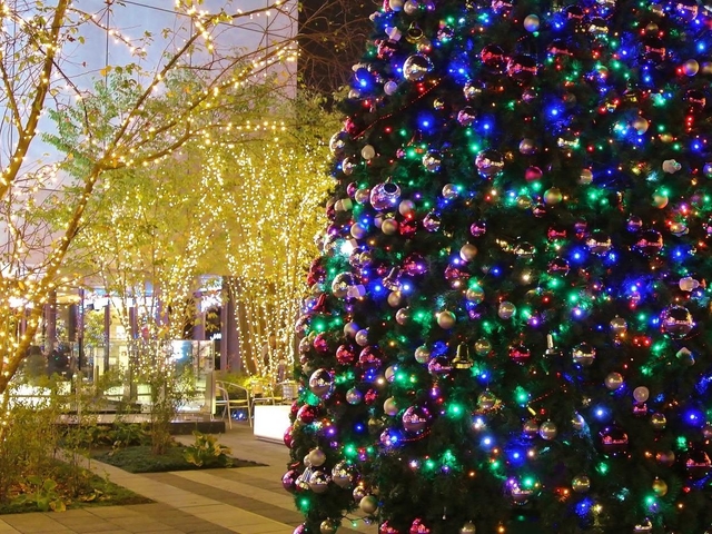 いかがでしたか？