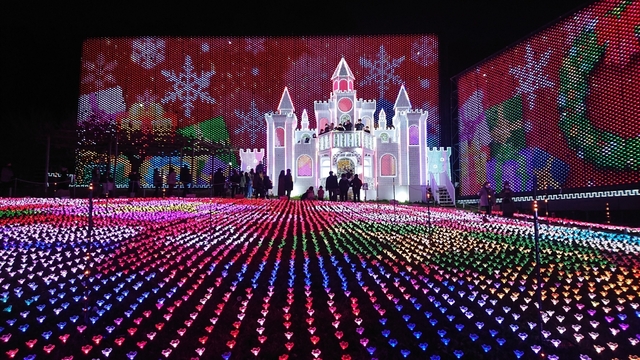 5. あしかがフラワーパーク 光の花の庭 Flower Fantasy / 栃木