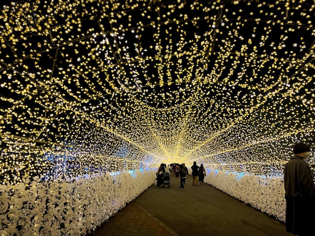 6. 大井競馬場 東京メガイルミ / 東京