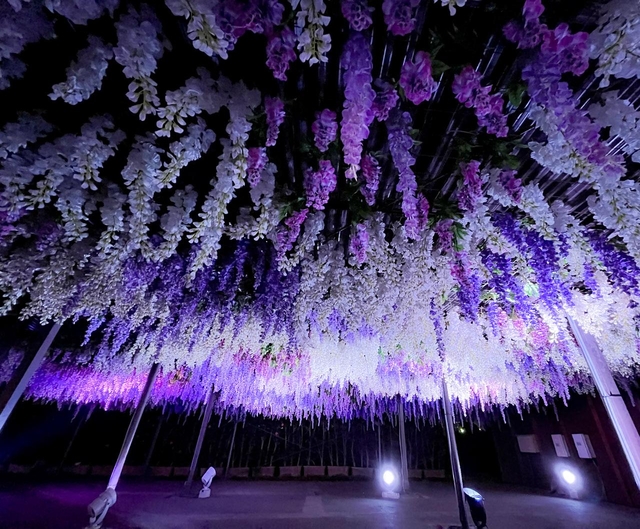 6. 大井競馬場 東京メガイルミ / 東京