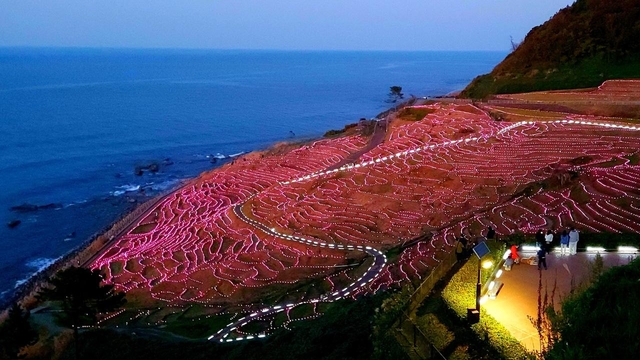 8. 白米千枚田 あぜのきらめき / 石川