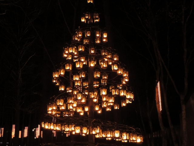 9. 軽井沢高原教会 星降る森のクリスマス / 長野