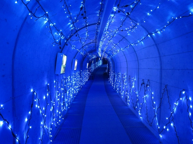 10. タルマかねこおりライトアップ / 岐阜