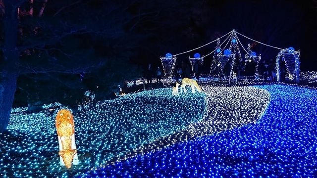 15. しあわせ回廊 なら瑠璃絵 / 奈良