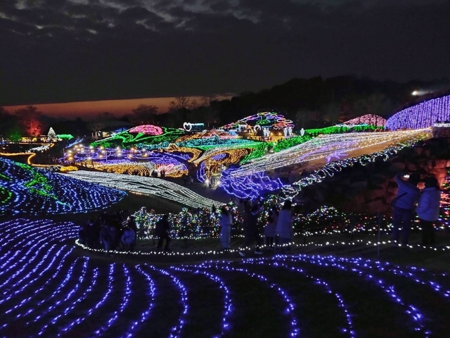 17. 国営讃岐まんのう公園 ウィンターファンタジー / 香川