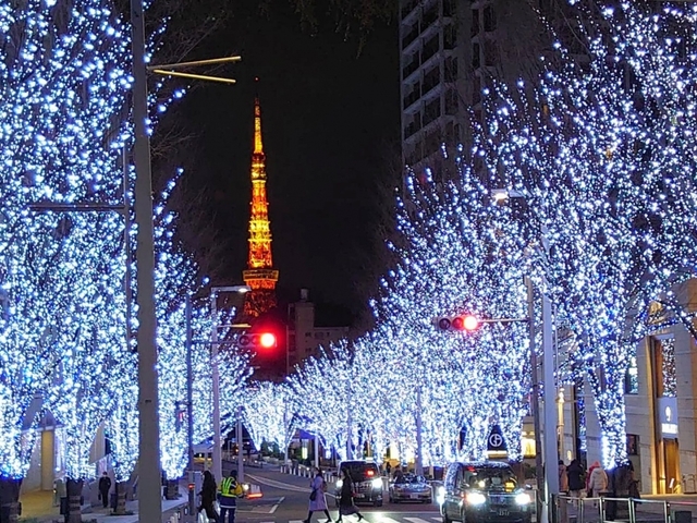 5.けやき坂 / 東京