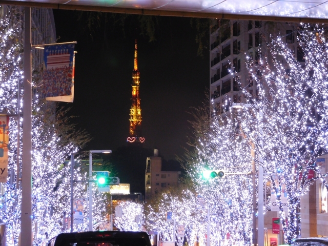 5.けやき坂 / 東京