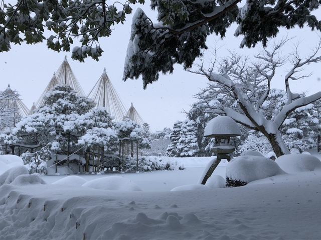 8. 兼六園 / 石川