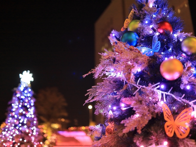 いかがでしたか？