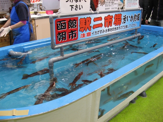 函館朝市 駅二市場 活いか釣り広場