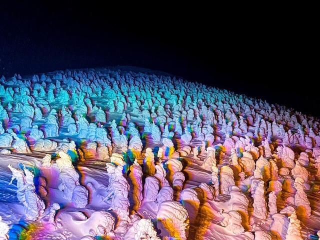 4. 蔵王樹氷まつり / 山形