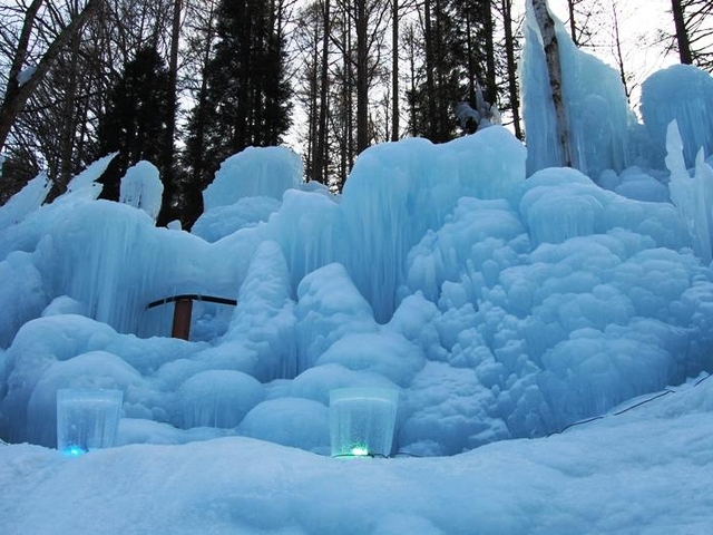 9. 氷点下の森 / 岐阜