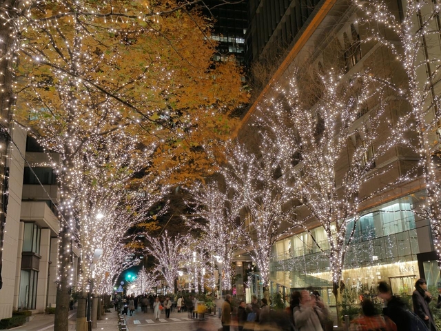 【4位】丸の内イルミネーション / 東京都