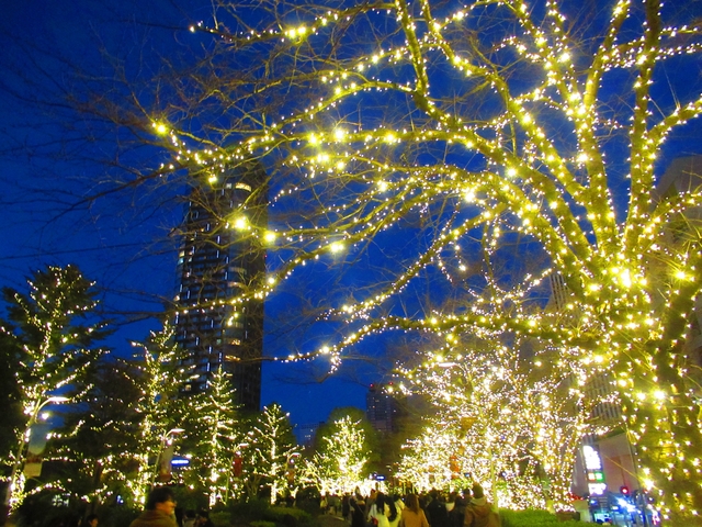 【6位】東京ミッドタウン クリスマスイルミネーション / 東京都