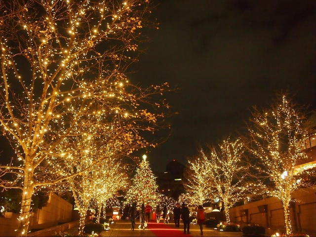 【9位】恵比寿ガーデンプレイス イルミネーション / 東京都