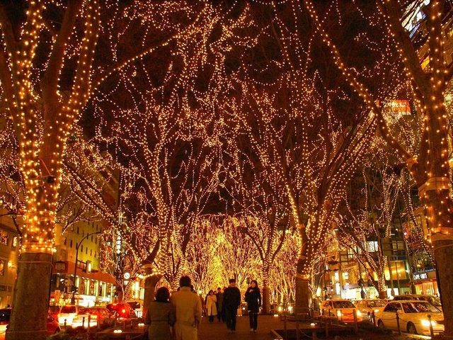 【10位】SENDAI 光のページェント / 宮城県