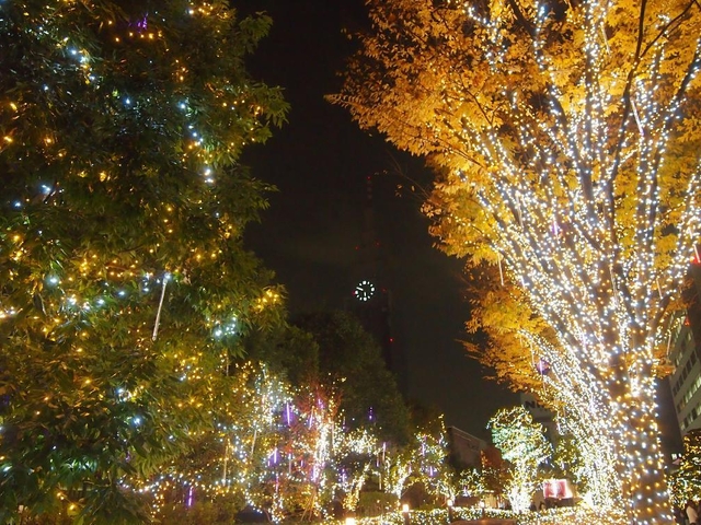 【15位】新宿テラスシティ イルミネーション / 東京都