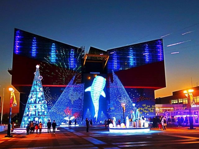 【16位】海遊館イルミネーション / 大阪府　※同率