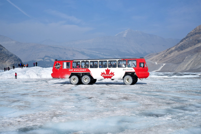 コロンビア大氷原