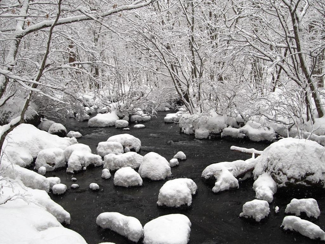 3. 奥入瀬渓谷 / 青森県十和田市