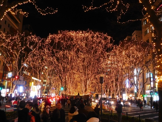 7. SENDAI 光のページェント / 宮城県仙台市