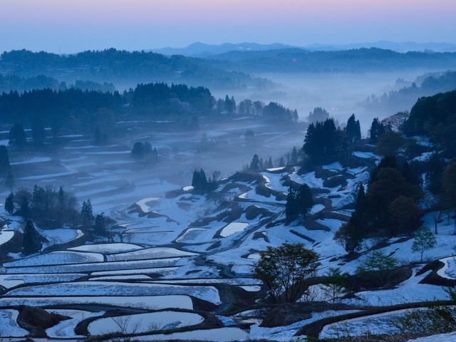 8. 星峠の棚田 / 新潟県十日町