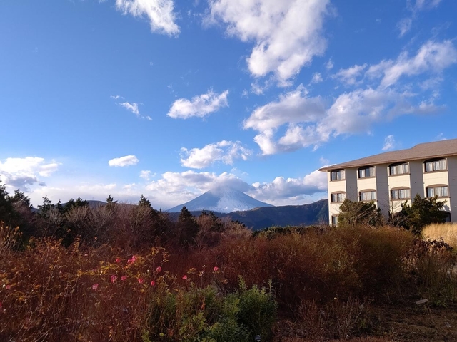 いかがでしたか？