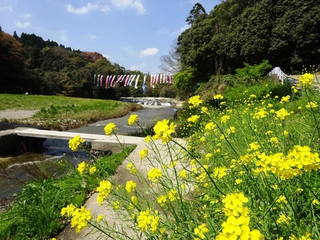 6. いすみ線 / 千葉県