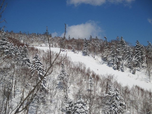 1. 札幌国際スキー場 / 北海道