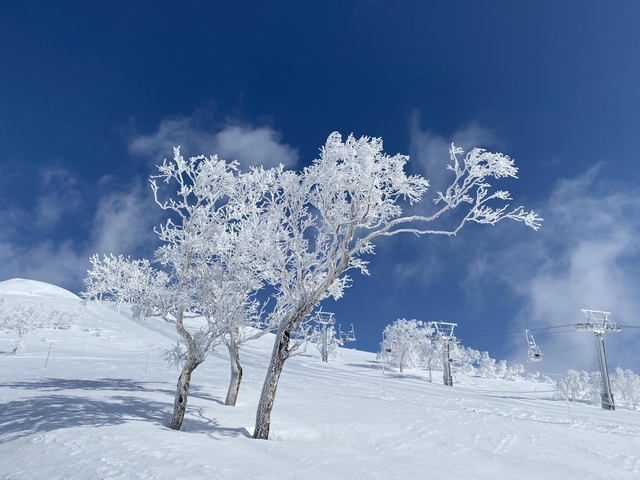 4. ニセコアンヌプリ国際スキー場 / 北海道