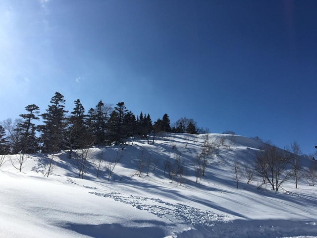 6. 安比高原 / 岩手県