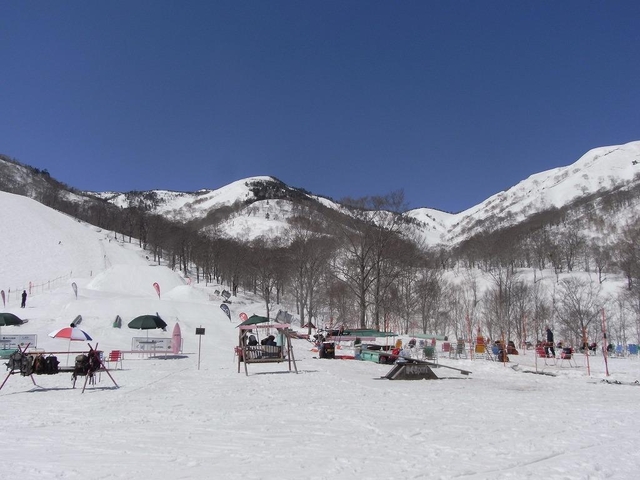 8. かぐらスキー場 / 新潟県