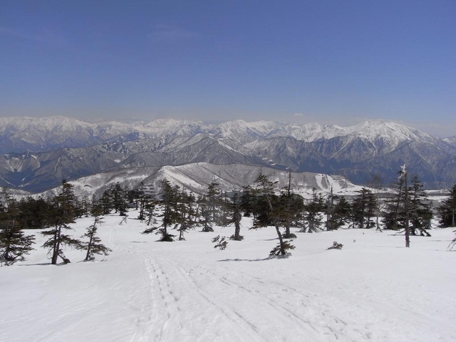 8. かぐらスキー場 / 新潟県