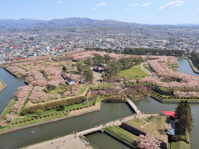 1.  五稜郭公園の桜 / 北海道